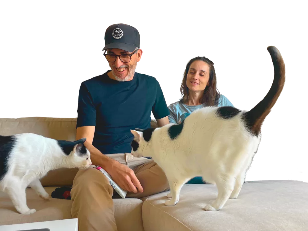 Comunidad mejorar convivencia con gatos