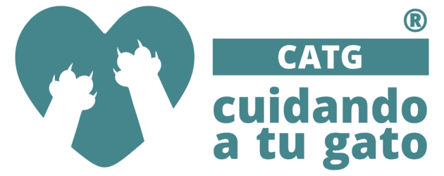 Cuidando a tu Gato - Cat sitters Valencia