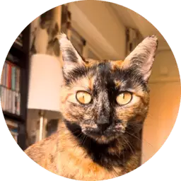 Testimonio curso Vínculo Felino