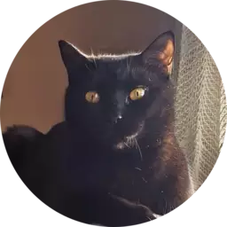 Testimonio Vínculo Felino, comunidad, trucos y masterclass