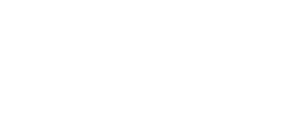 Comunidad Vínculo felino